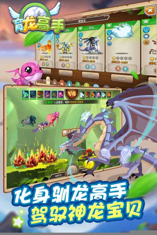 育龙高手